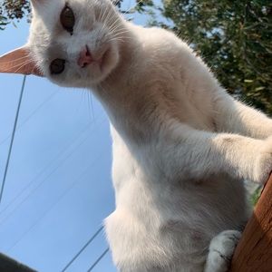 Meet your Posher, Heslie